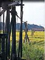 一面に草が生い茂っている豊川油田跡地の写真