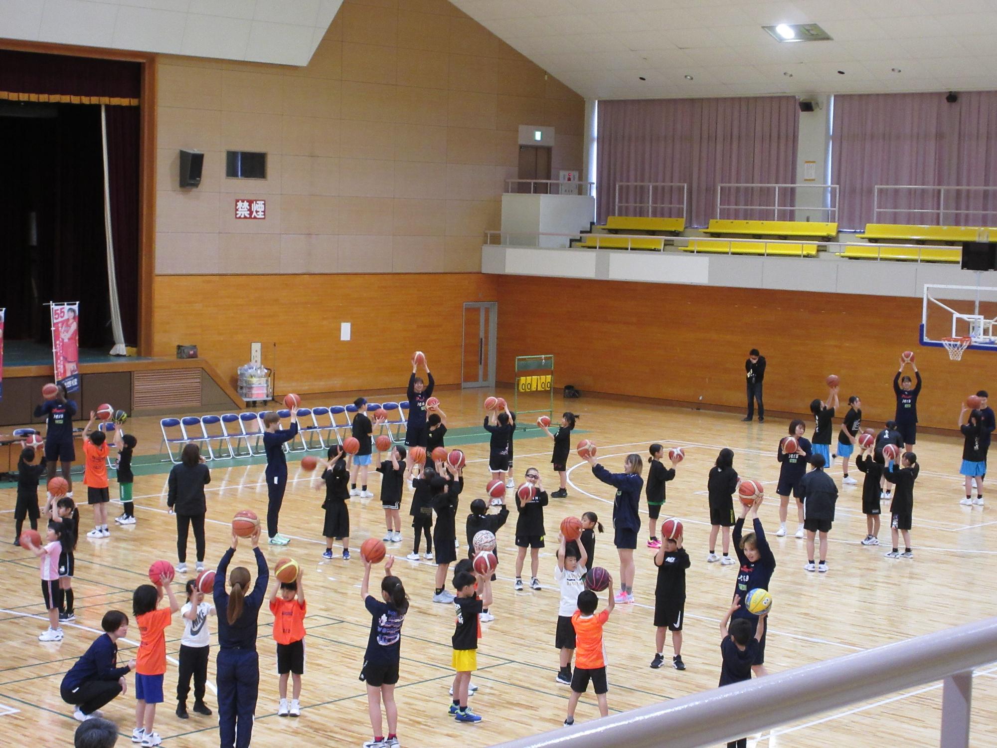 basketballschool