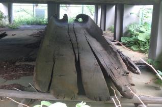 八郎潟出土くり船
