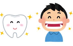 歯のイラスト