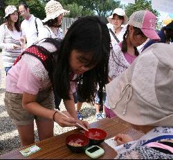 割り箸を持って豆つかみゲームに挑戦する女の子の写真