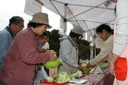 野菜の重さ当てクイズコーナーで野菜を量りに載せている参加者たちの写真