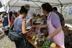 机の上にたくさんの野菜が並べられており、来場者にレシピと一緒にエプロンを付けたスタッフがプレゼントしている写真